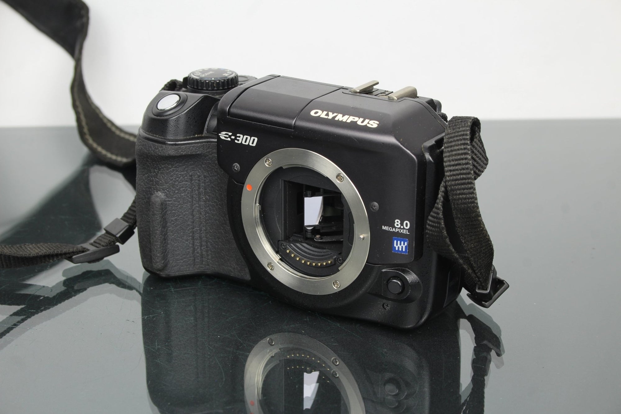 Olympus E300 - Dutch|Thrift