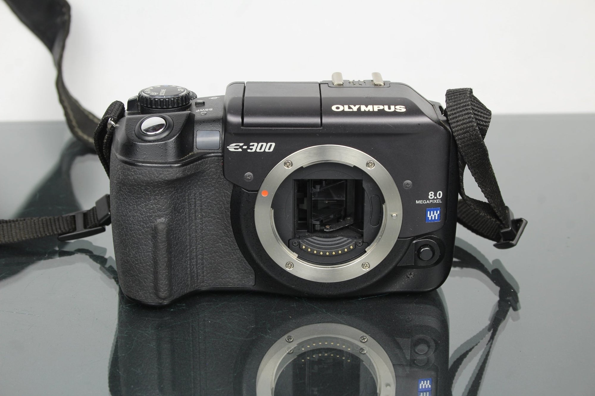 Olympus E300 - Dutch|Thrift
