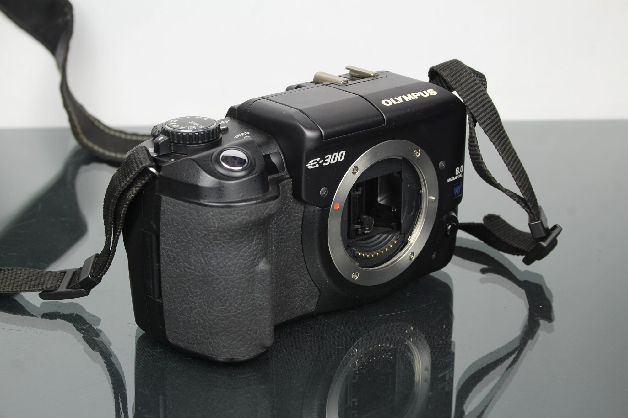 Olympus E300 - Dutch|Thrift